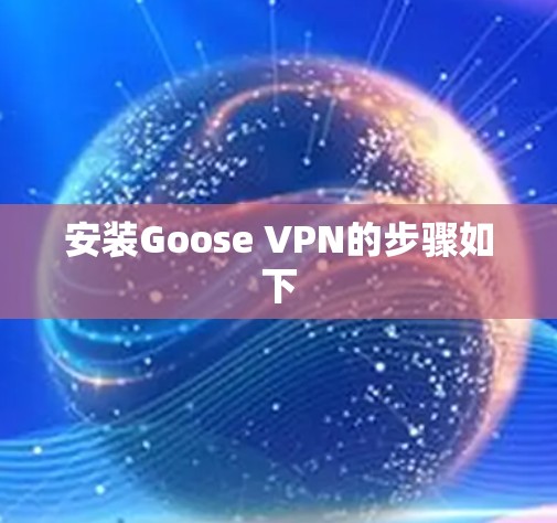 安装Goose VPN的步骤如下
