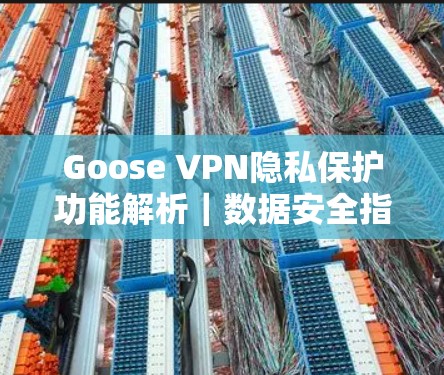 Goose VPN隐私保护功能解析｜数据安全指南