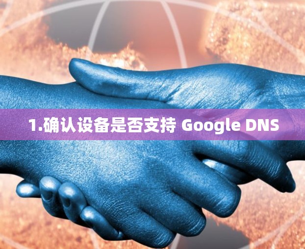 1.确认设备是否支持 Google DNS