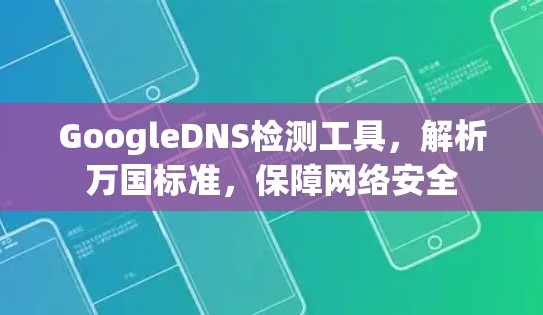 GoogleDNS检测工具，解析万国标准，保障网络安全
