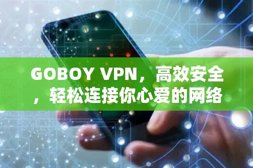 GOBOY VPN，高效安全，轻松连接你心爱的网络