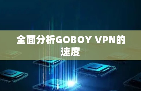 全面分析GOBOY VPN的速度