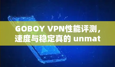 GOBOY VPN性能评测，速度与稳定真的 unmatched？