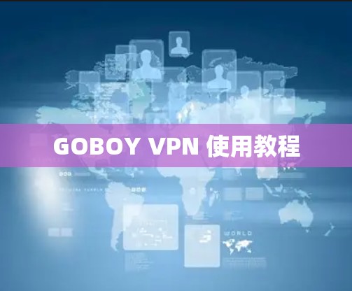 GOBOY VPN 使用教程