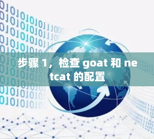 步骤 1，检查 goat 和 netcat 的配置