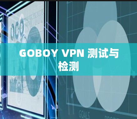 GOBOY VPN 测试与检测