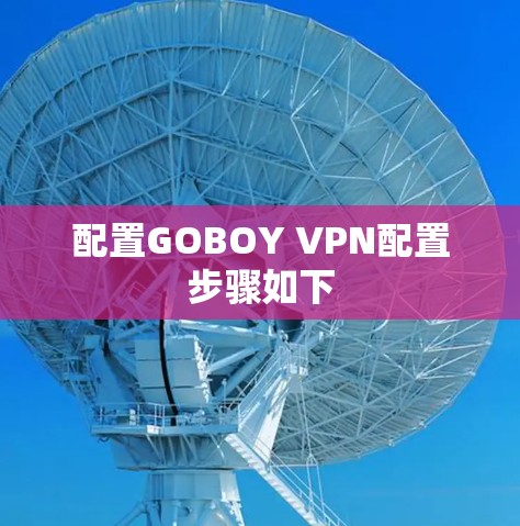 配置GOBOY VPN配置步骤如下