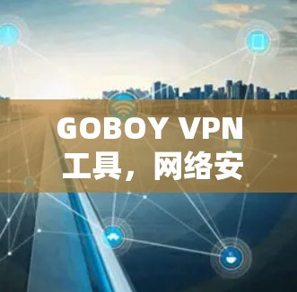 GOBOY VPN 工具，网络安全防护的全能解决方案