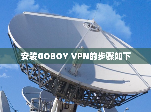 安装GOBOY VPN的步骤如下