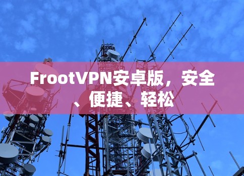 FrootVPN安卓版，安全、便捷、轻松