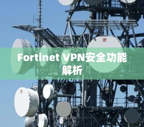 Fortinet VPN安全功能解析