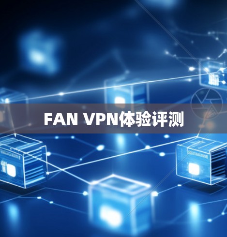 FAN VPN体验评测