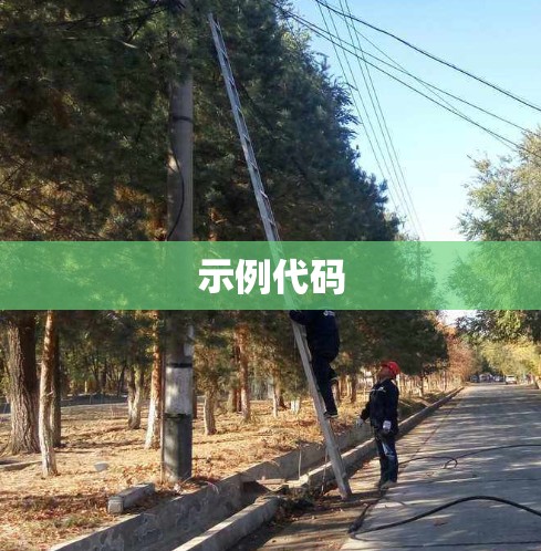 示例代码