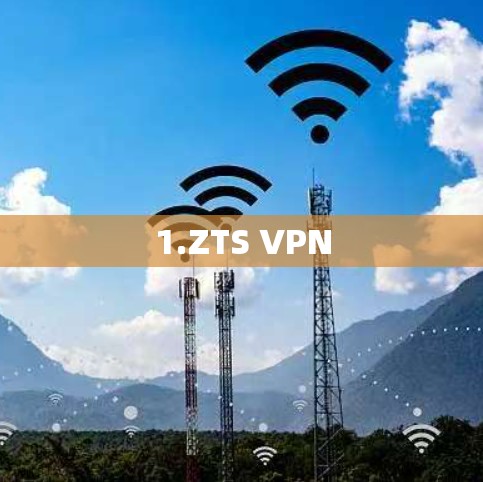 1.ZTS VPN