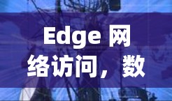 Edge 网络访问，数据高效传输的关键路径
