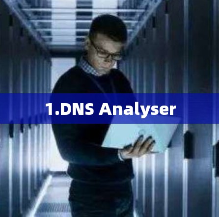 1.DNS Analyser