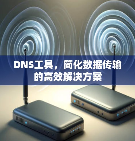 DNS工具，简化数据传输的高效解决方案