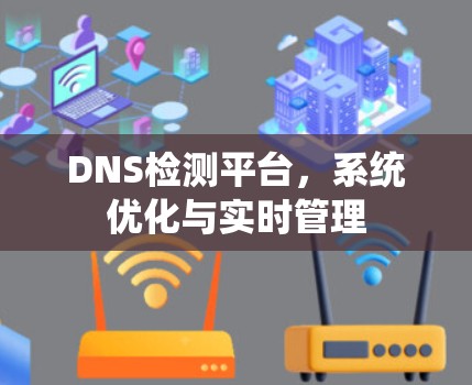 DNS检测平台，系统优化与实时管理