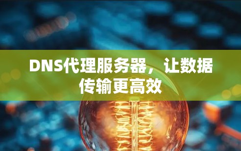 DNS代理服务器，让数据传输更高效