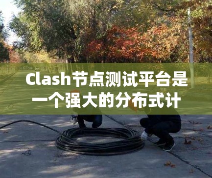 Clash节点测试平台是一个强大的分布式计算平台，用于开发和测试分布式系统。以下是一个系统化的指南，帮助您逐步使用 Clash节点进行测试