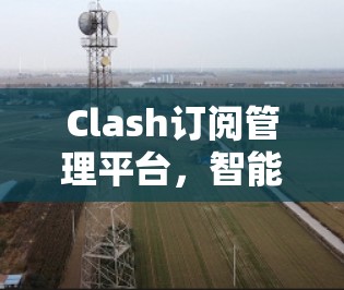 Clash订阅管理平台，智能竞争与安全防护