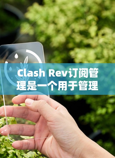 Clash Rev订阅管理是一个用于管理订阅流程的平台，涵盖注册、订阅、管理以及设置提醒等功能。以下是详细的步骤和操作指南