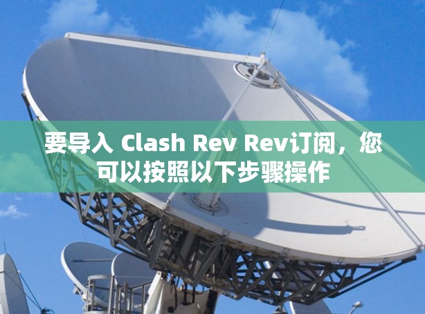要导入 Clash Rev Rev订阅，您可以按照以下步骤操作