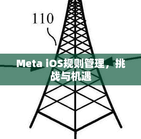 Meta iOS规则管理，挑战与机遇