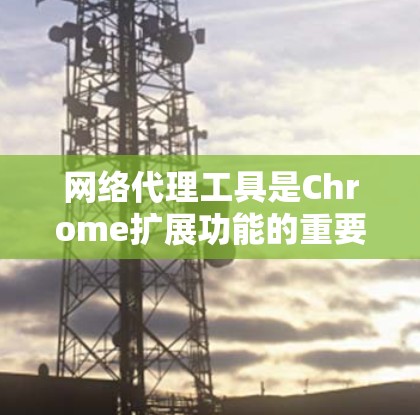 网络代理工具是Chrome扩展功能的重要组成部分，用于连接到外部服务器、执行脚本、自动化操作等。以下是关于这些工具的详细信息