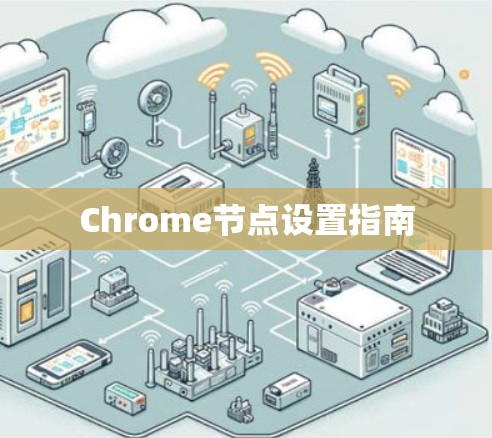 Chrome节点设置指南