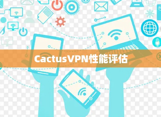 CactusVPN性能评估