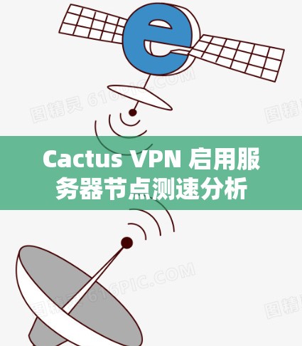 Cactus VPN 启用服务器节点测速分析