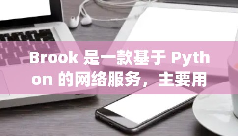 Brook 是一款基于 Python 的网络服务，主要用于远程监控和管理。以下是一个详细的配置指南，帮助你使用 Brook 正常运行