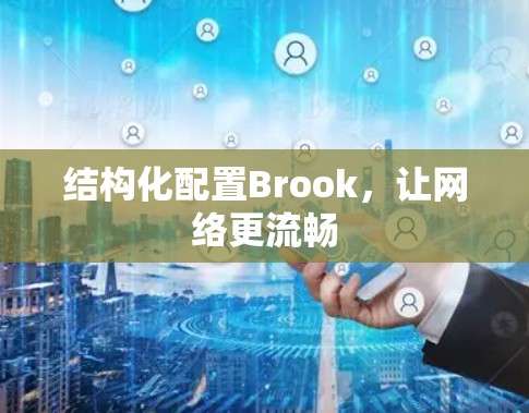 结构化配置Brook，让网络更流畅