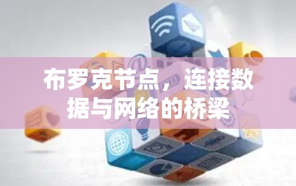 布罗克节点，连接数据与网络的桥梁