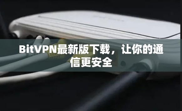 BitVPN最新版下载，让你的通信更安全