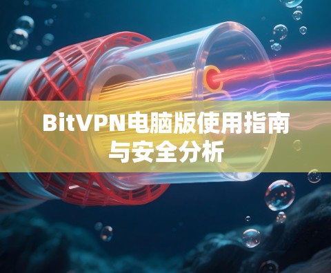 BitVPN电脑版使用指南与安全分析