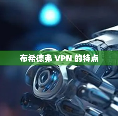 布希德弗 VPN 的特点