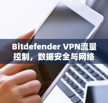 Bitdefender VPN流量控制，数据安全与网络流畅的完美结合