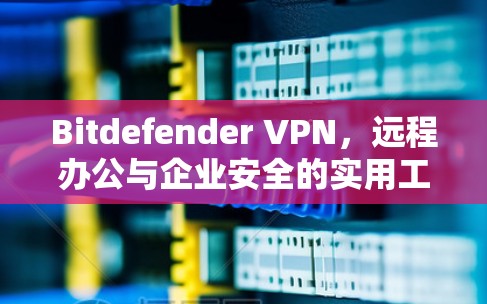 Bitdefender VPN，远程办公与企业安全的实用工具