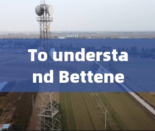 To understand Bettenet客户端,follow these organized steps: