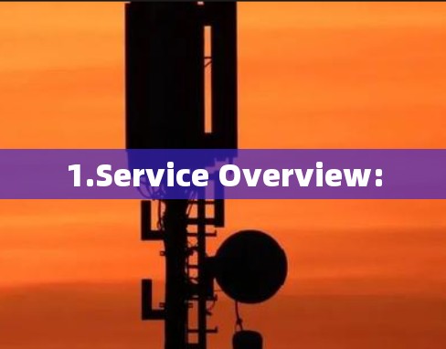 1.Service Overview: