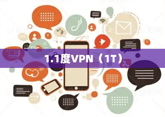 1.1度VPN（1T）