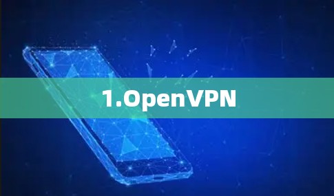 1.OpenVPN