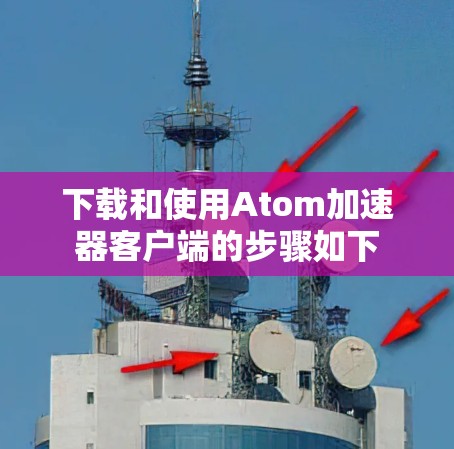 下载和使用Atom加速器客户端的步骤如下
