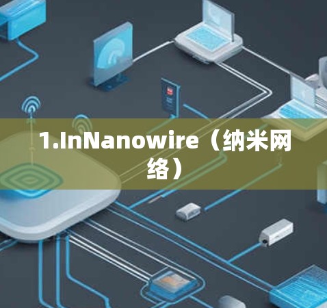 1.InNanowire（纳米网络）