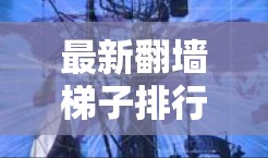 最新翻墙梯子排行，技术突破，网络防护的新篇章