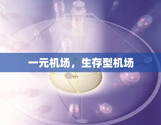 一元机场，生存型机场