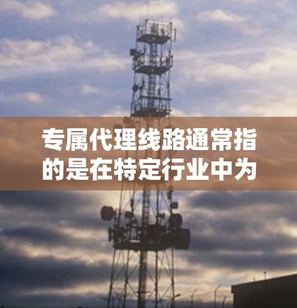 专属代理线路通常指的是在特定行业中为某些客户或项目专门安排的代理线路，旨在为该客户或项目提供最优质的服务。这类线路通常具有以下特点