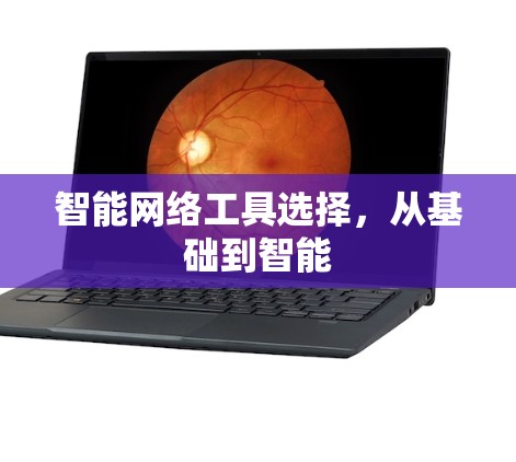 智能网络工具选择，从基础到智能